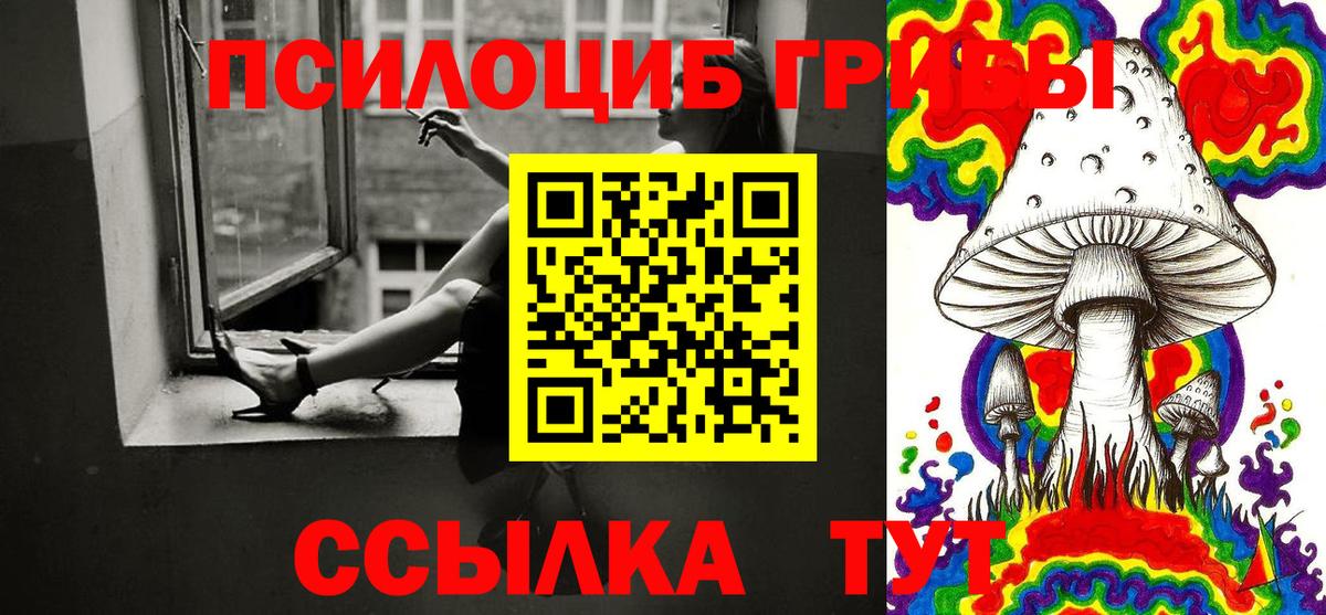 как найти закладки  Вход с VPN  Северск  Псилоцибиновые грибы прущие грибы 